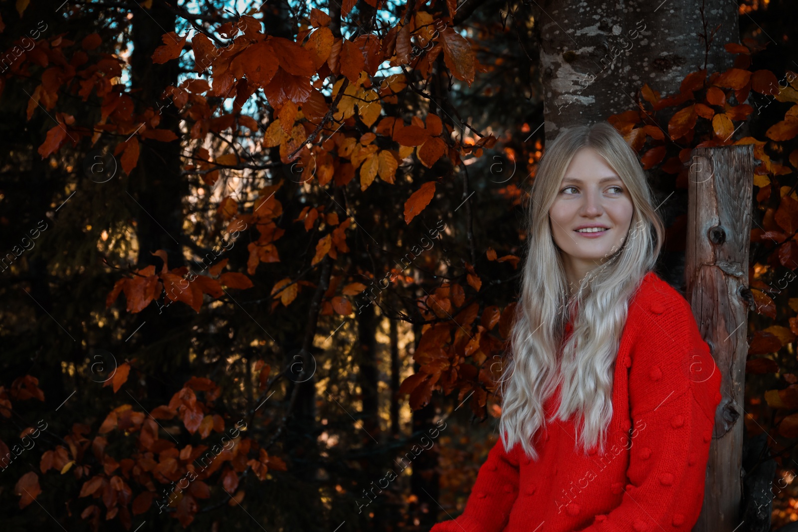 Photo of Portrait of beautiful young woman in autumn forest. Space for text