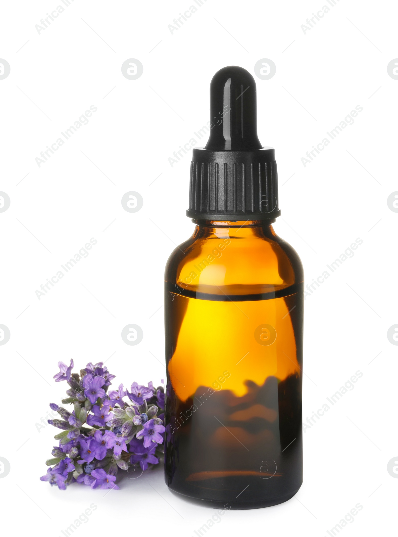 Photo of Bottle of essential oil and lavender flowers isolated on white