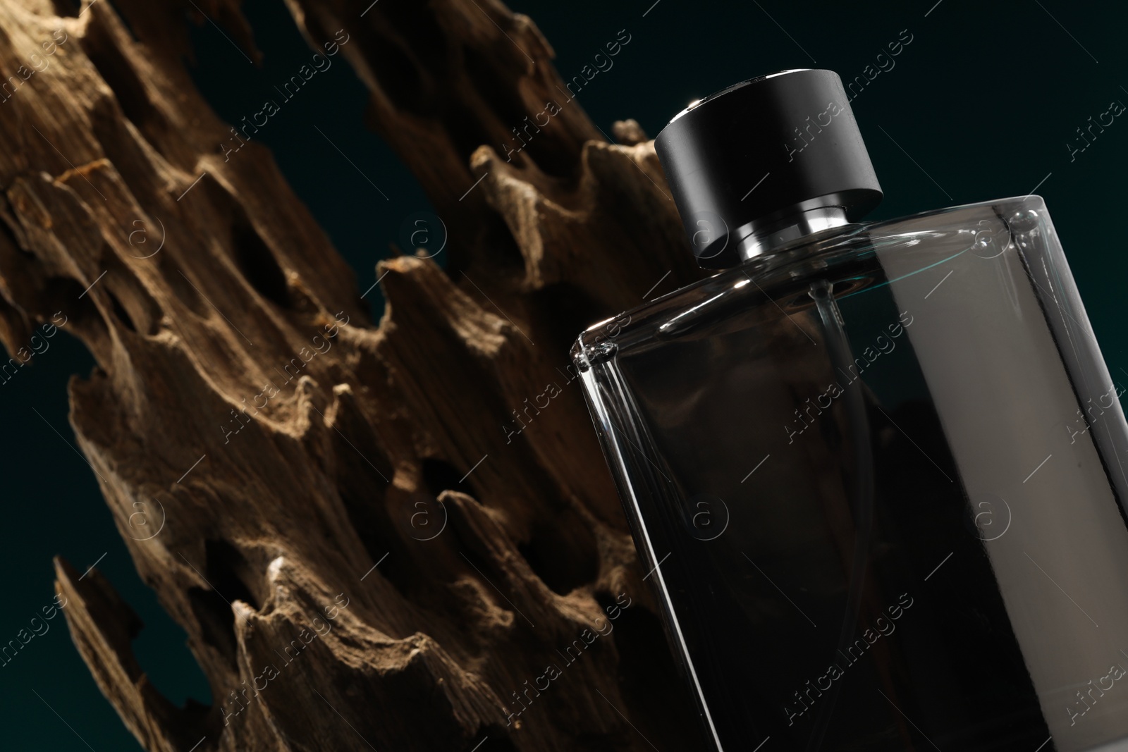 Photo of Luxury men`s perfume in bottle on color background, closeup. Space for text