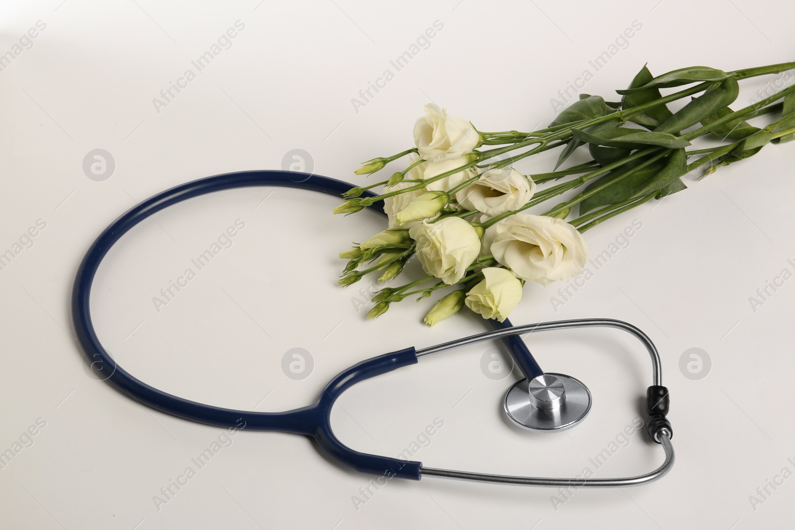 Photo of Stethoscope and eustoma flowers on white background. Happy Doctor's Day