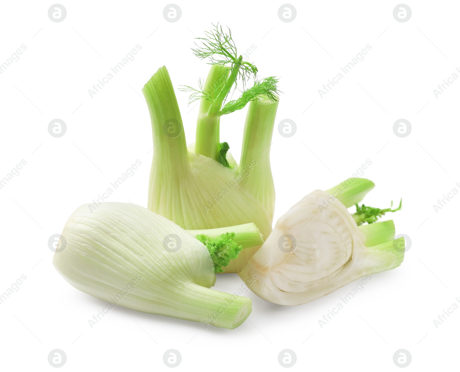 Photo of Whole and cut fennel bulbs isolated on white