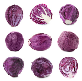 Image of Set of fresh ripe red cabbages on white background