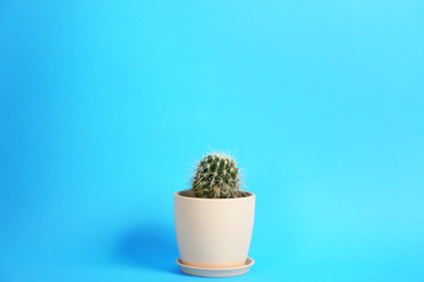 Photo of Beautiful cactus (Echinocactus grusonii) on light blue background