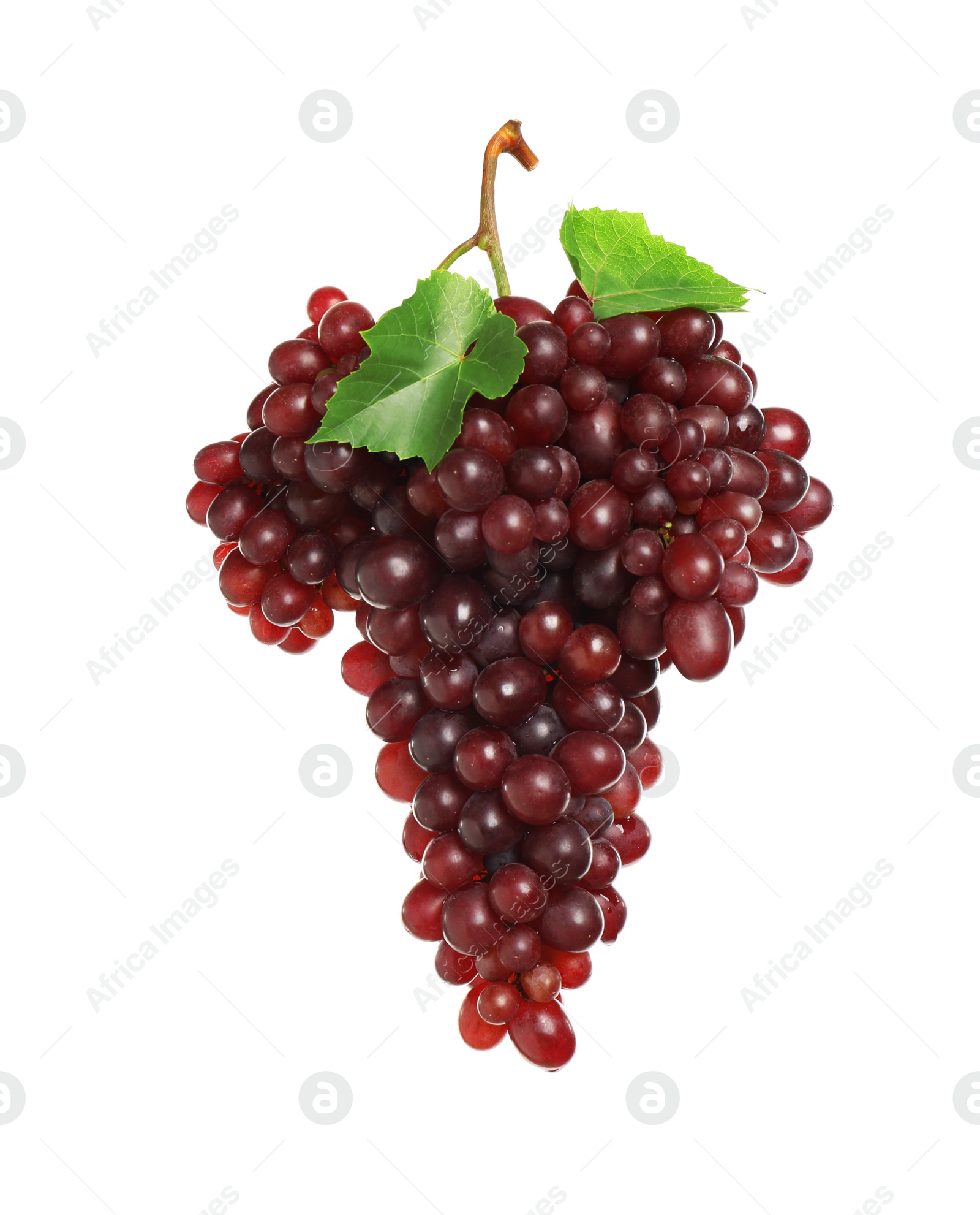 Photo of Bunch of fresh ripe juicy red grapes with leaves isolated on white