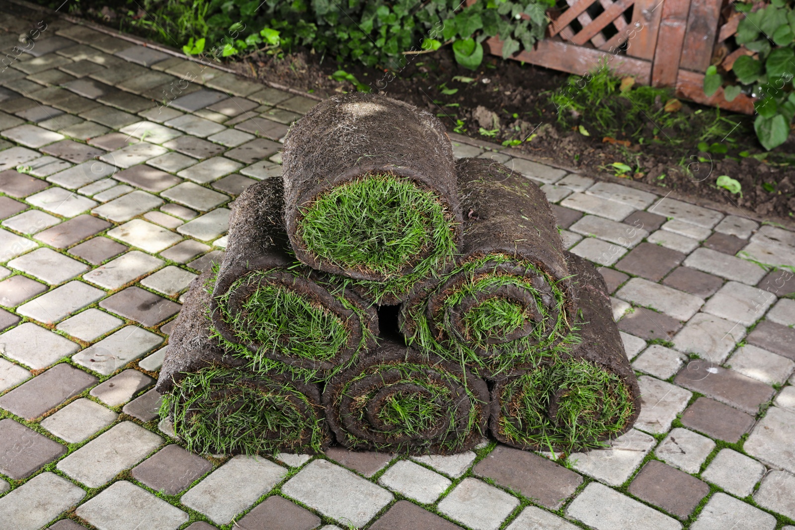 Photo of Rolls of sod with grass on backyard