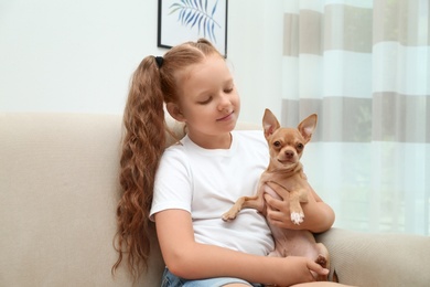 Photo of Cute little child with her Chihuahua dog on sofa at home. Adorable pet