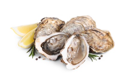 Photo of Fresh raw oysters served on white background
