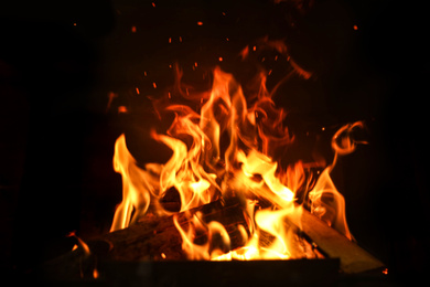 Fireplace with burning wood, closeup view. Winter vacation