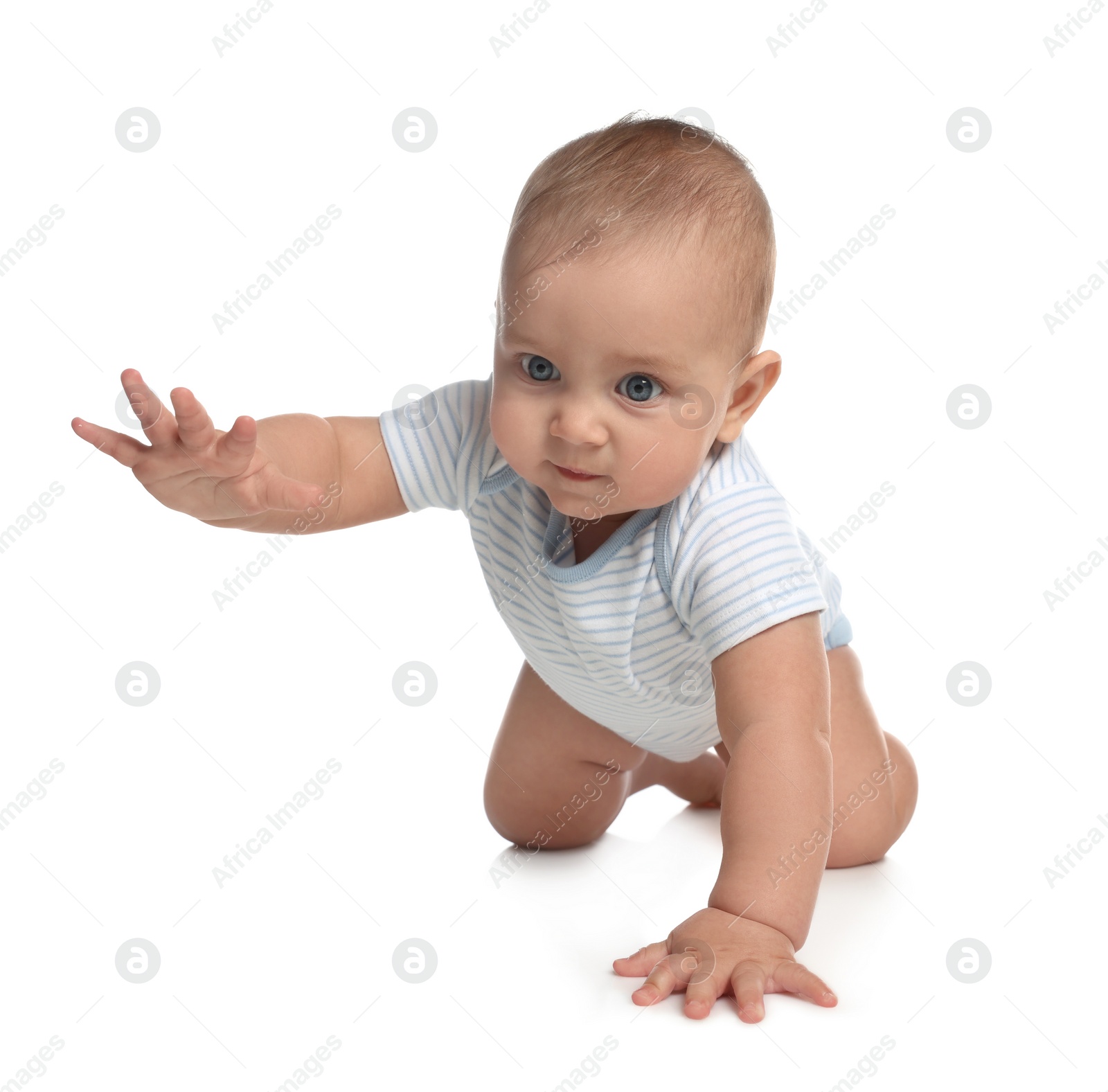 Photo of Cute little baby boy crawling on white background