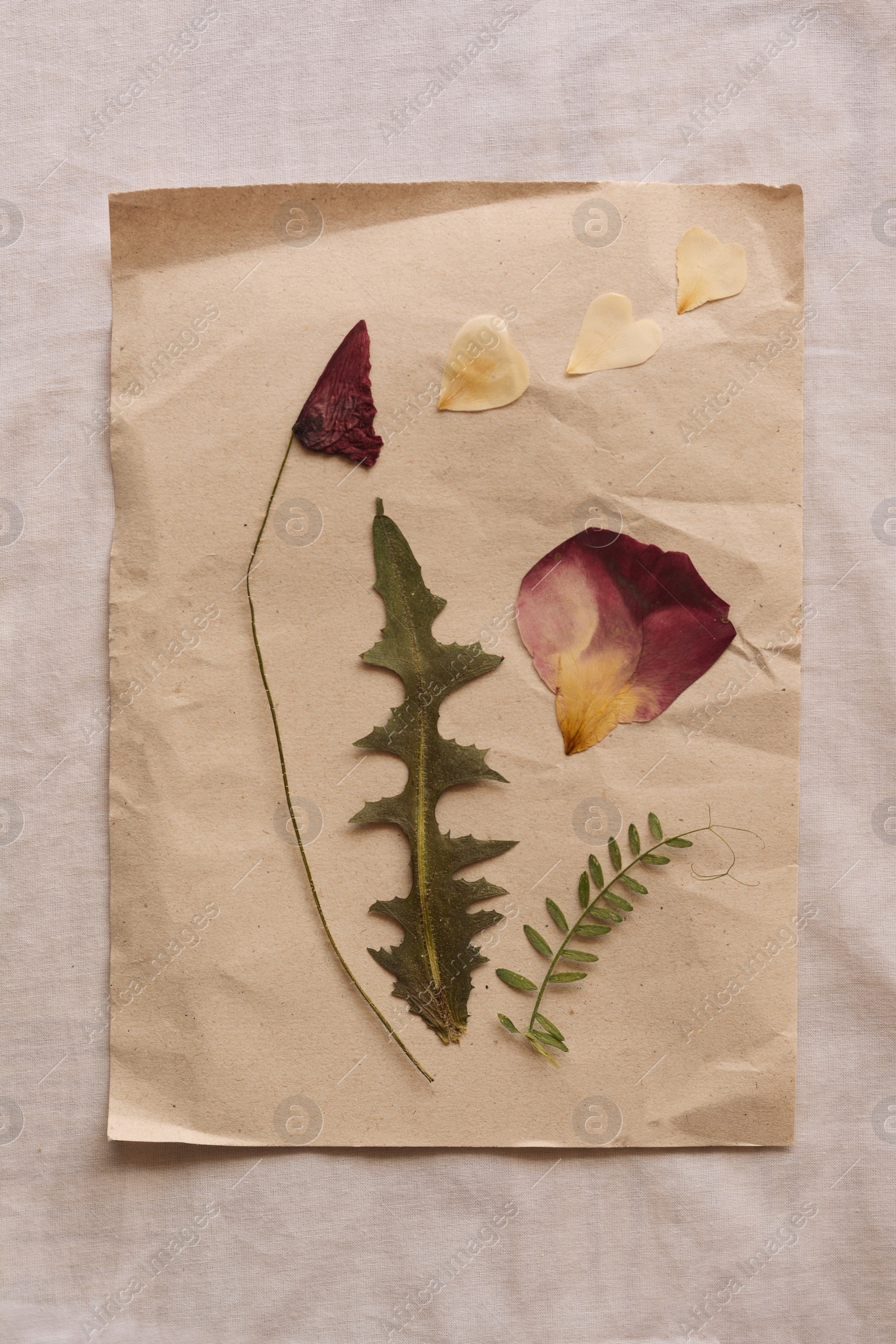 Photo of Sheet of paper with dried petals and leaves on white fabric, top view