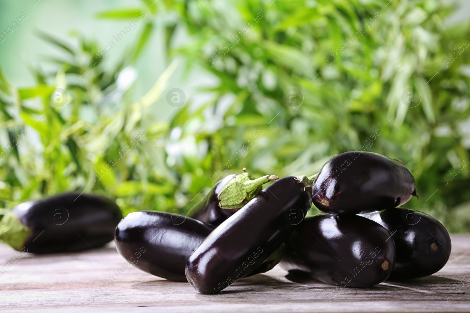 Photo of Ripe eggplants on table against blurred background