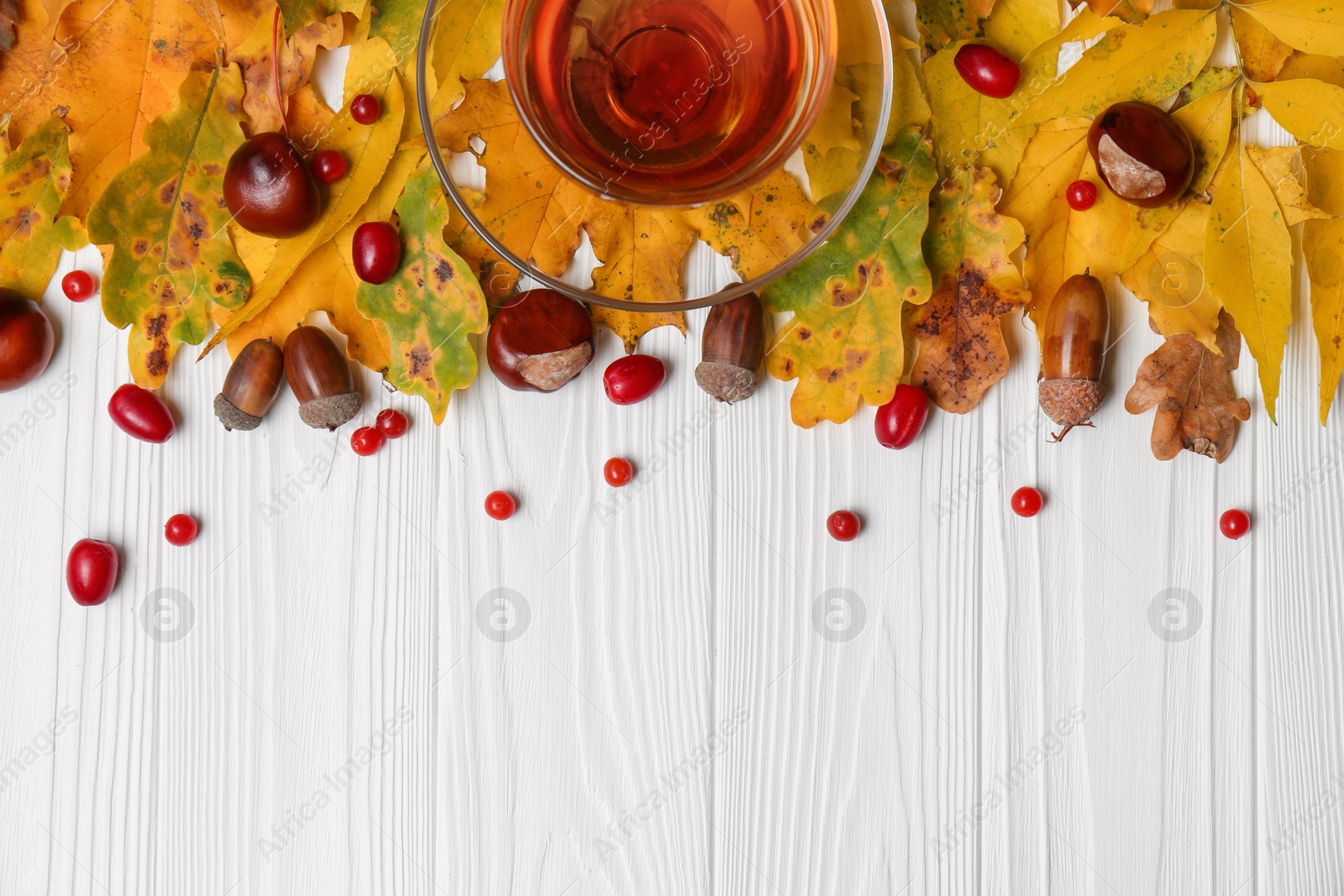 Photo of Different autumn leaves, acorns, chestnuts, red berries and cup of tasty tea on white wooden table, flat lay. Space for text