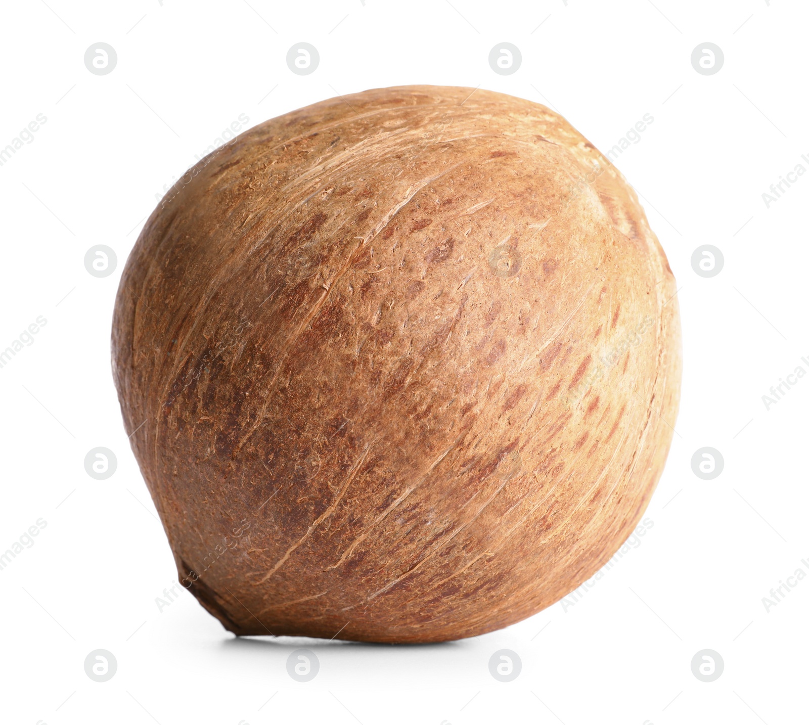 Photo of Ripe whole brown coconut on white background