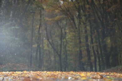 Photo of Beautiful view of pathway with fallen leaves in autumn park on rainy day, selective focus