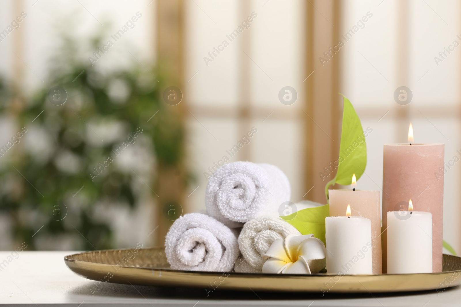 Photo of Spa composition. Burning candles, plumeria flower, green leaves and towels on white table indoors, space for text