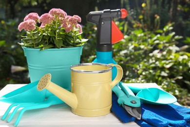 Watering can, gardening tools and plant outdoors on sunny day