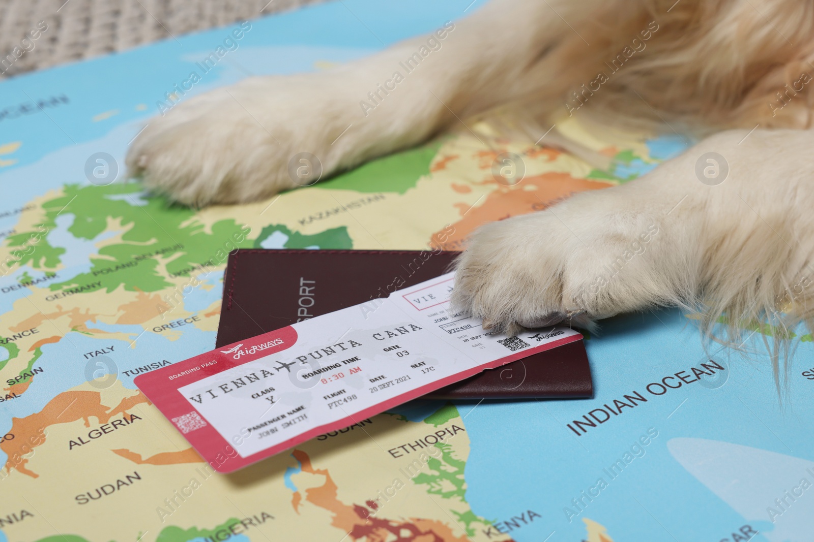 Photo of Dog lying near passport and ticket on world map, closeup. Travelling with pet