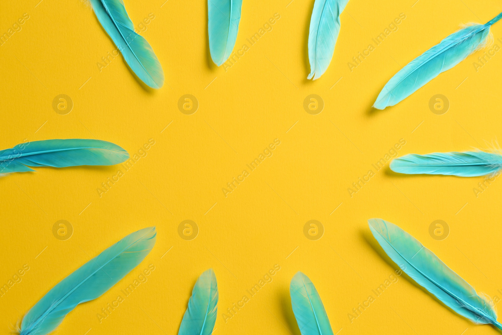 Photo of Frame of turquoise beautiful feathers on yellow background, flat lay. Space for text