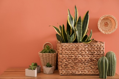 Photo of Houseplants in wicker pots on table near brown wall. Interior design
