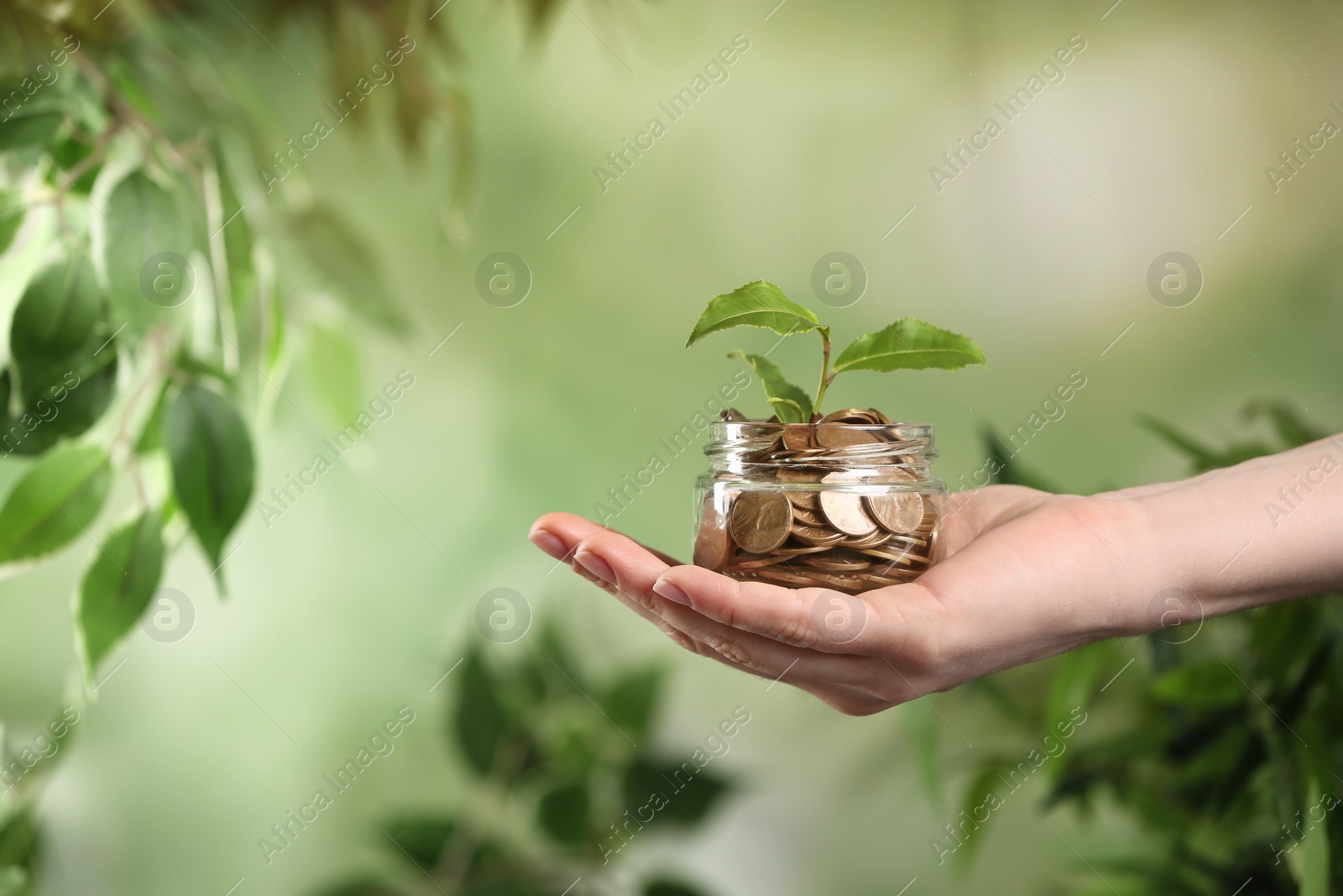 Photo of Woman holding coins and green sprout on blurred background, closeup. Money savings
