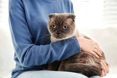 Photo of Young woman with cute cat at home, closeup. Fluffy pet