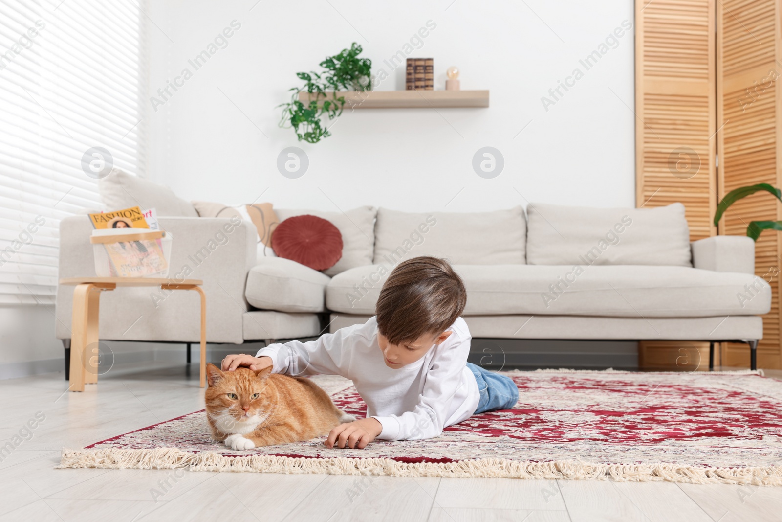 Photo of Little boy petting cute ginger cat on carpet at home