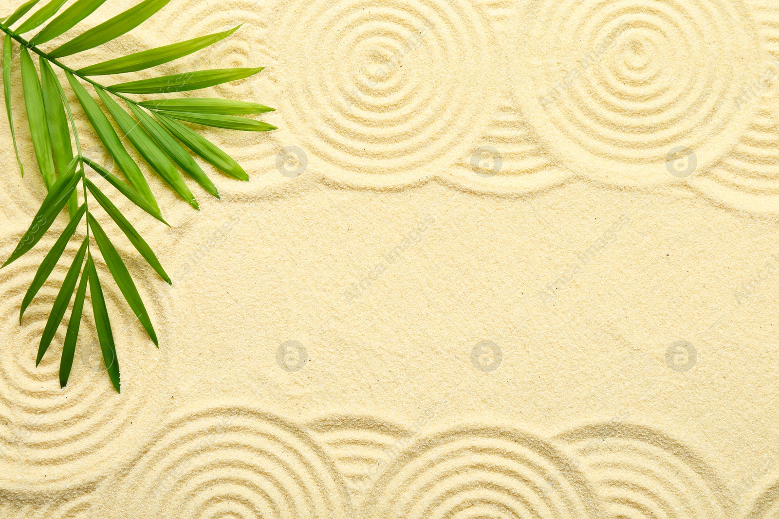 Photo of Zen rock garden. Circle patterns and green leaves on beige sand, top view