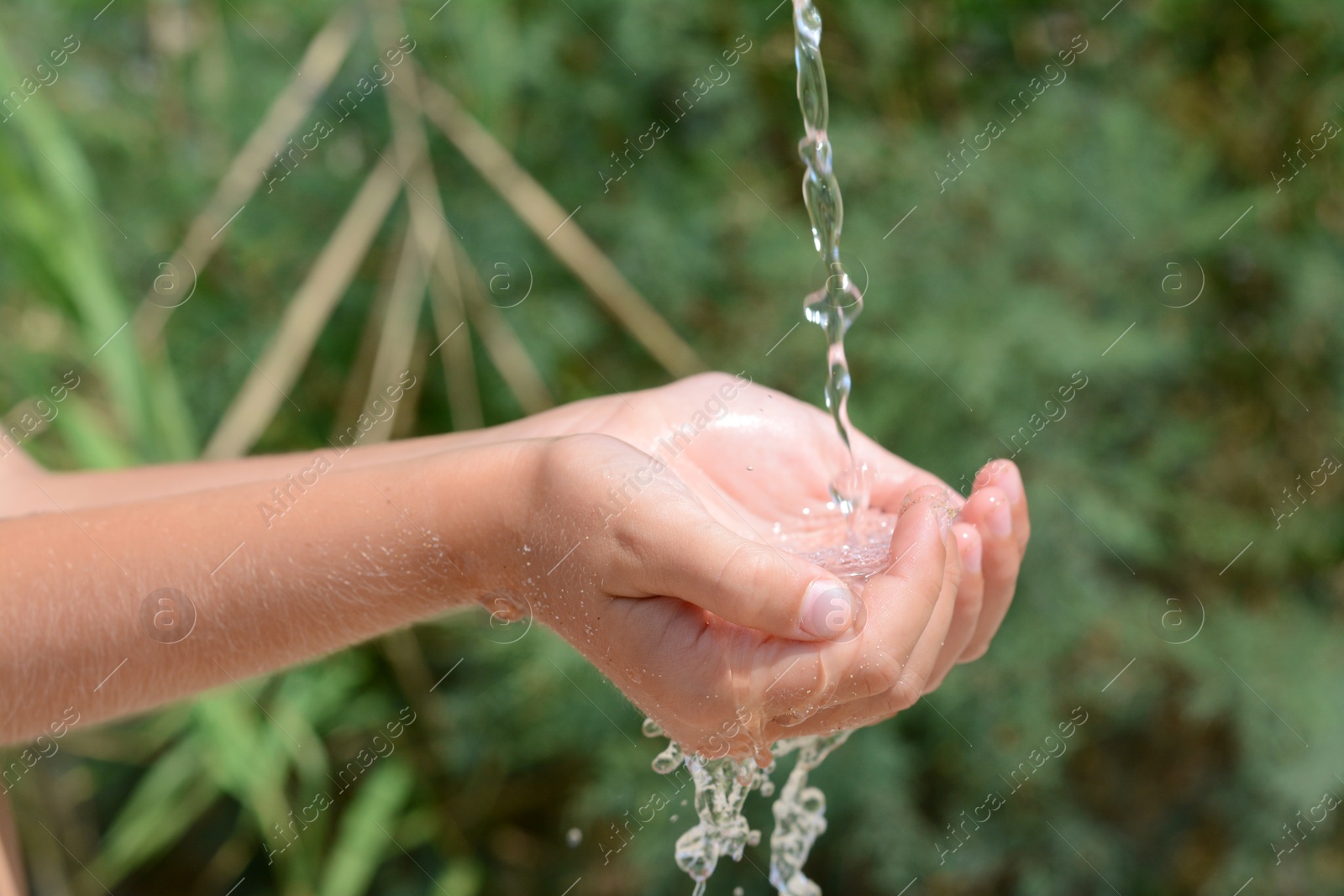 Photo of Pouring water into kid`s hands outdoors, closeup