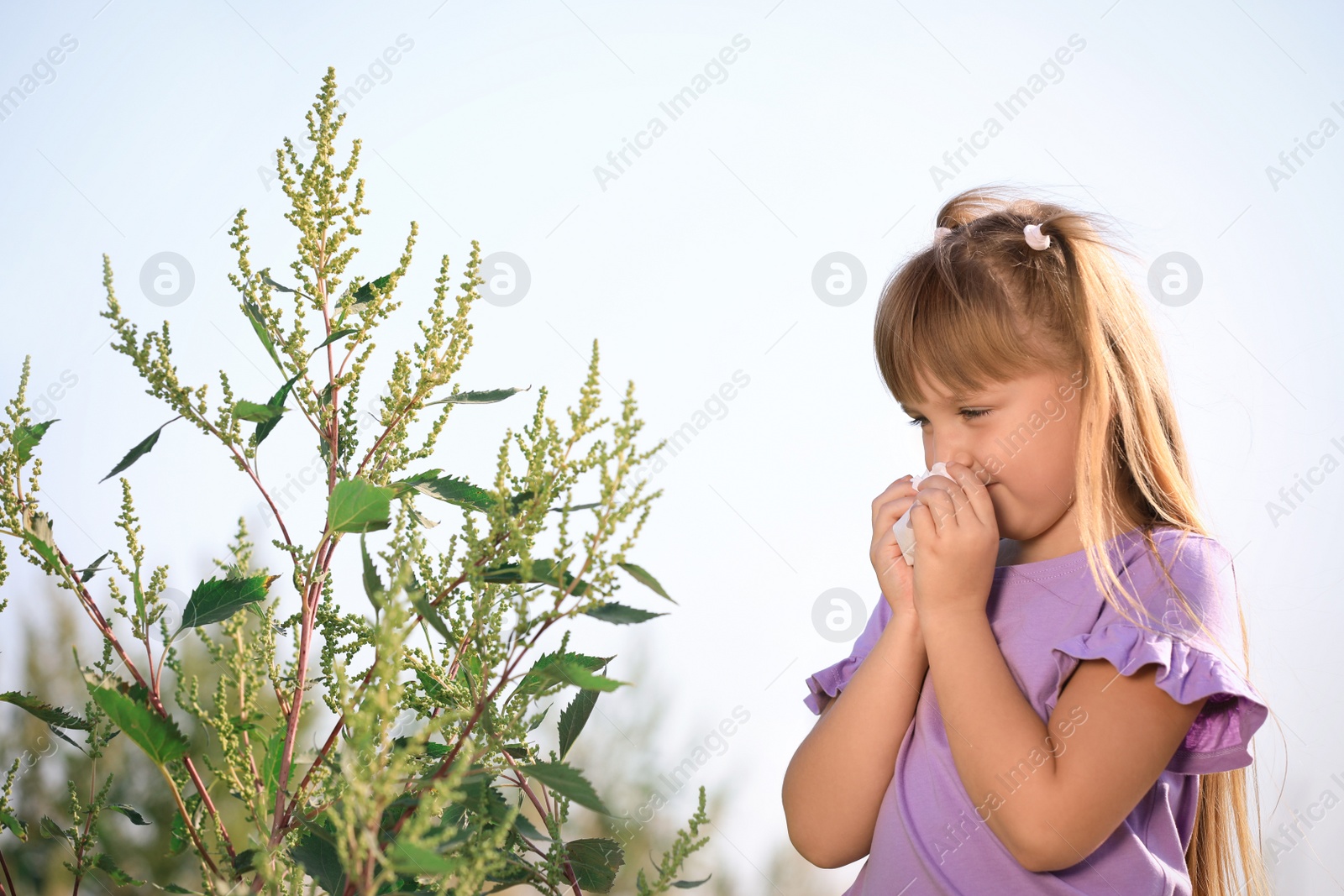 Photo of Little girl suffering from ragweed allergy outdoors