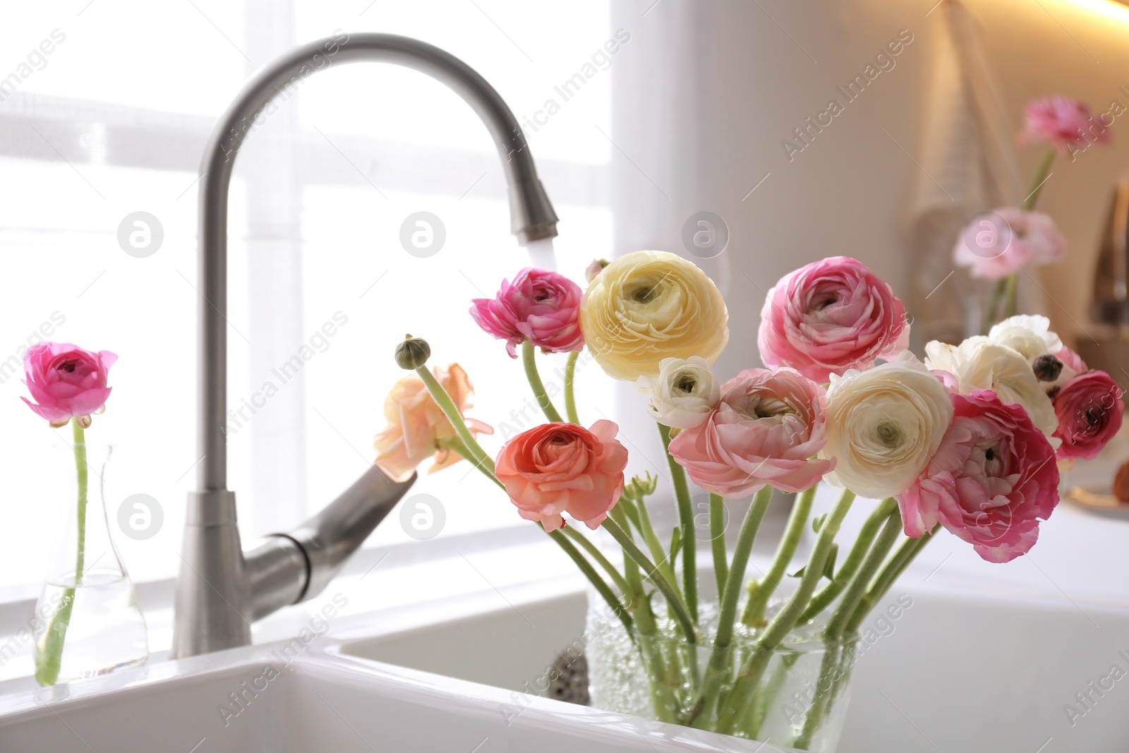 Photo of Beautiful fresh ranunculus flowers in kitchen sink