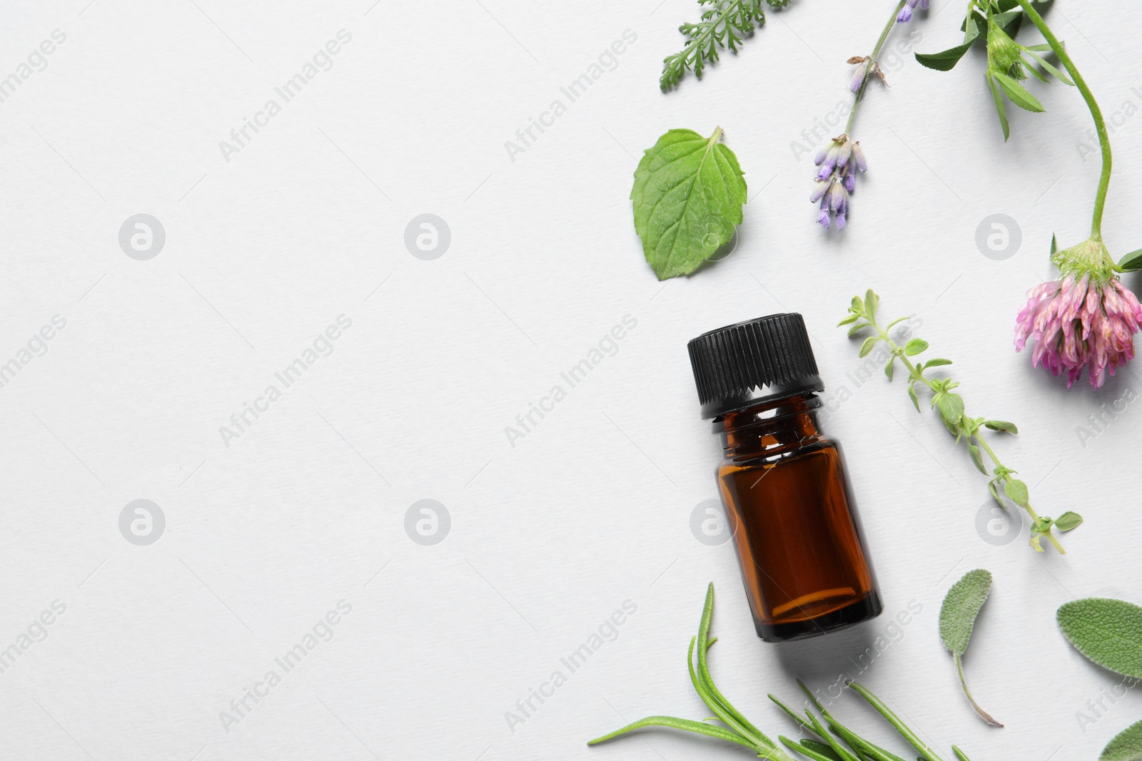 Photo of Bottle of essential oil, different herbs and flowers on white background, flat lay. Space for text