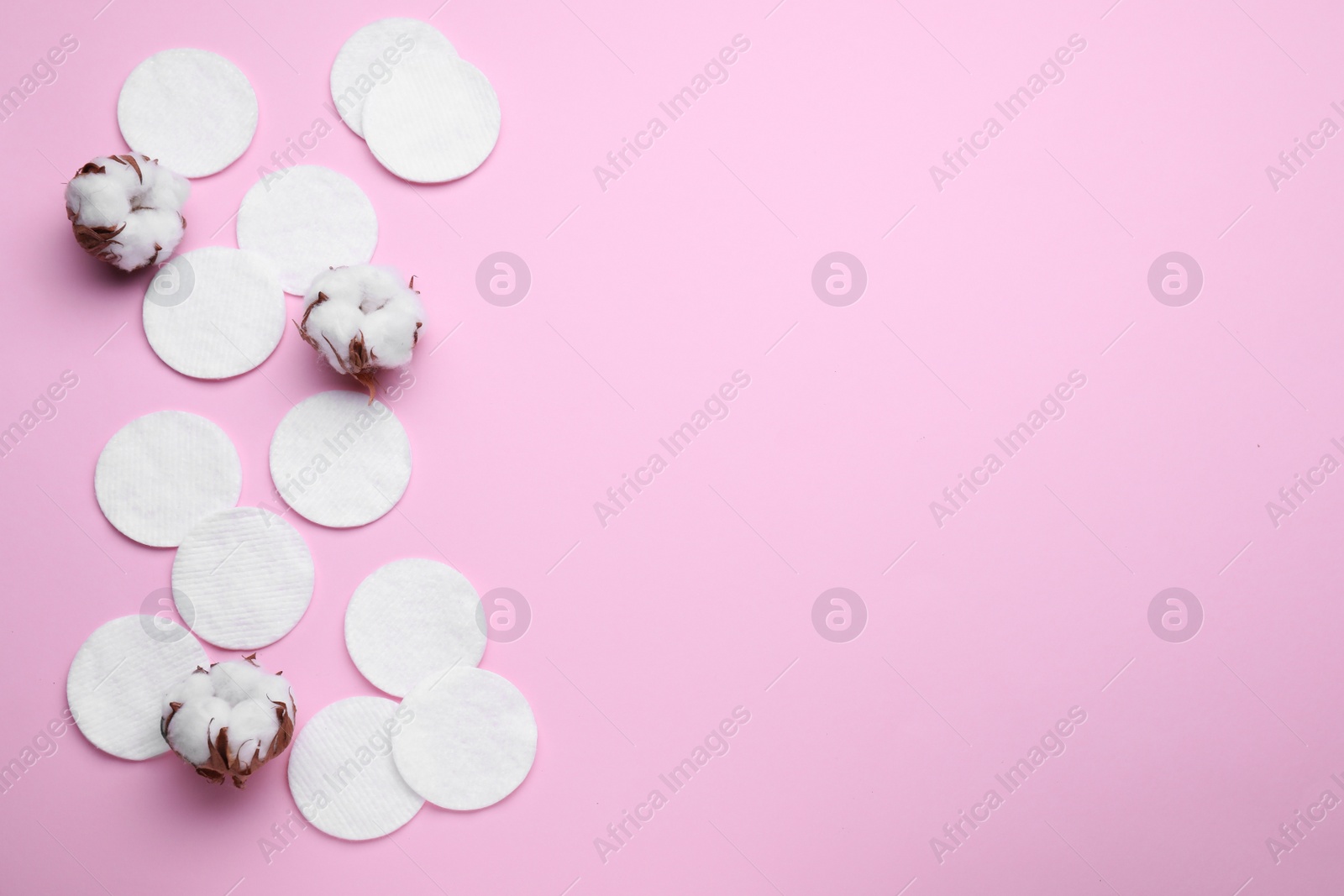 Photo of Soft clean cotton pads and flowers on pink background, flat lay. Space for text