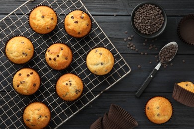 Delicious freshly baked muffins with chocolate chips on dark gray wooden table, flat lay