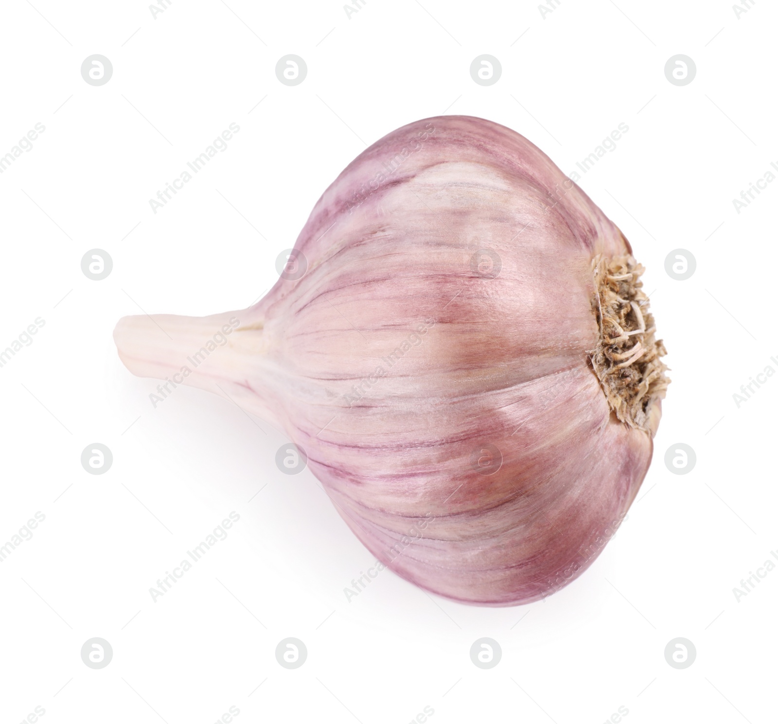 Photo of Head of fresh garlic isolated on white, top view