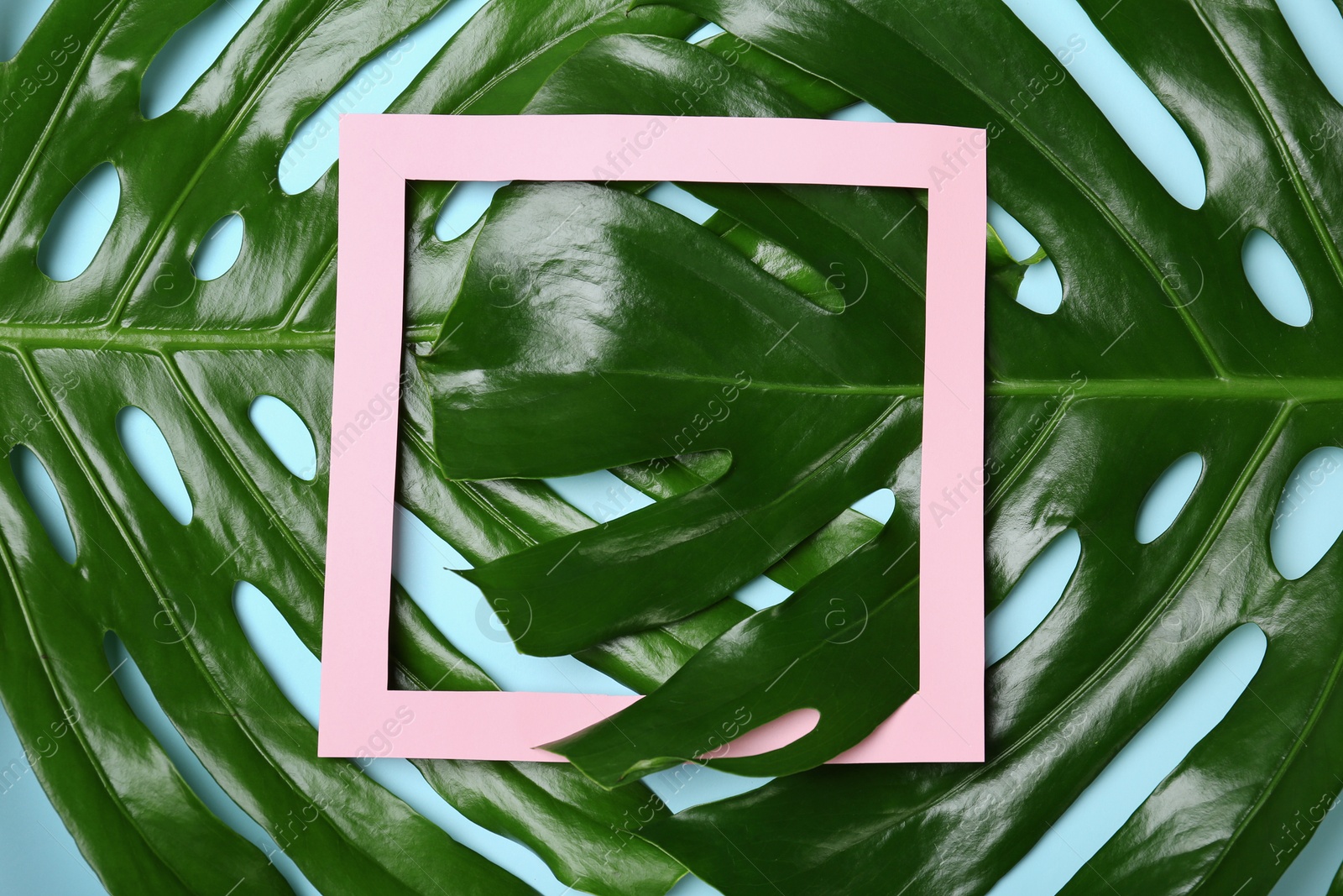 Photo of Flat lay composition with tropical leaves on color background