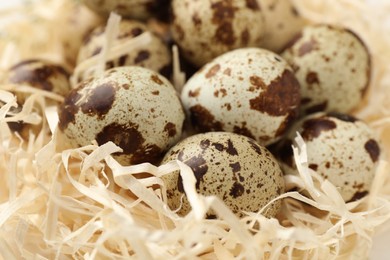 Photo of Nest with many speckled quail eggs on table, closeup