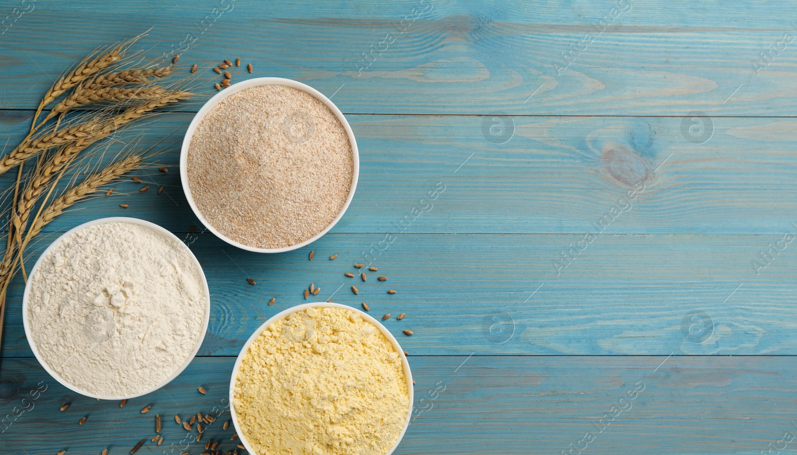 Photo of Different types of flours and wheat ears on light blue wooden table, flat lay. Space for text