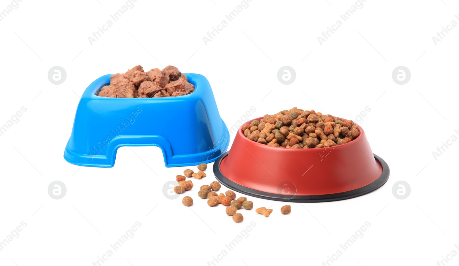 Photo of Dry and wet pet food in feeding bowls isolated on white