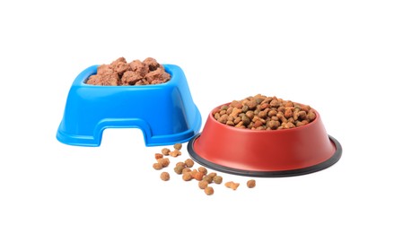 Photo of Dry and wet pet food in feeding bowls isolated on white