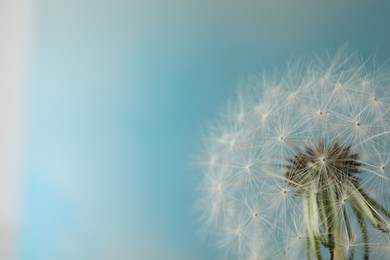 Photo of Beautiful dandelion flower on light blue background, closeup. Space for text