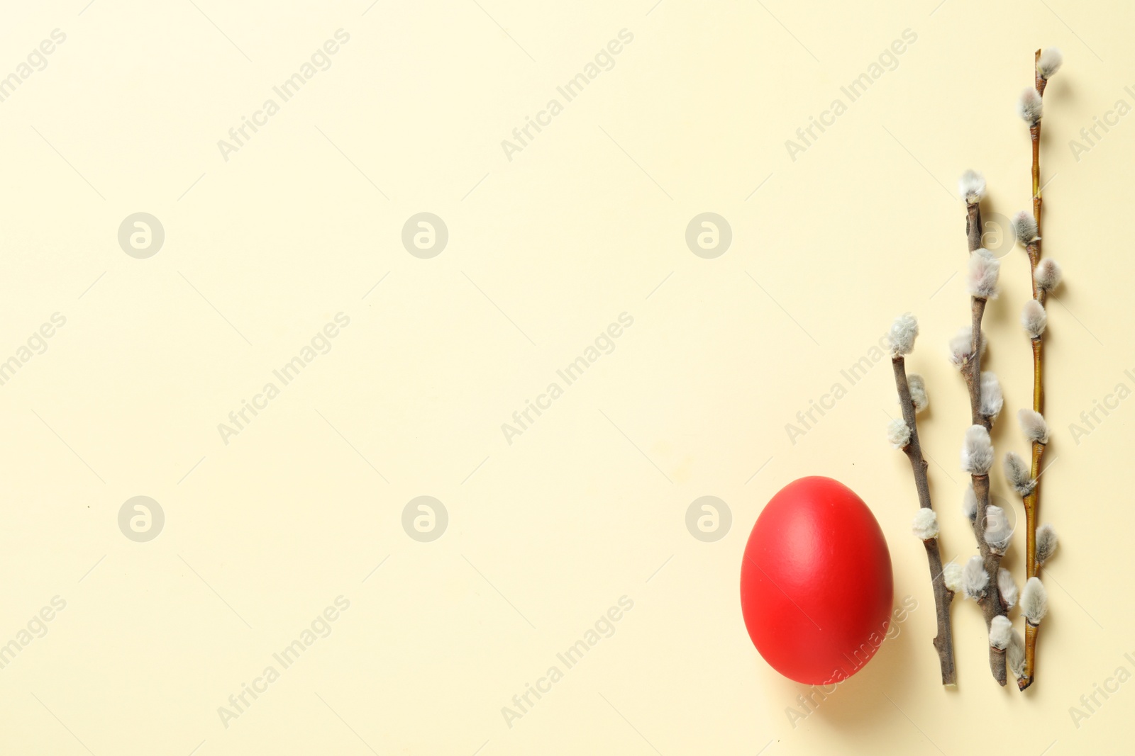 Photo of Flat lay composition of Easter egg and willow branches on color background, space for text