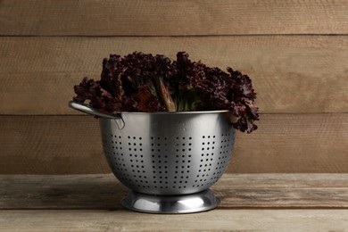 Colander with red coral lettuce on wooden table