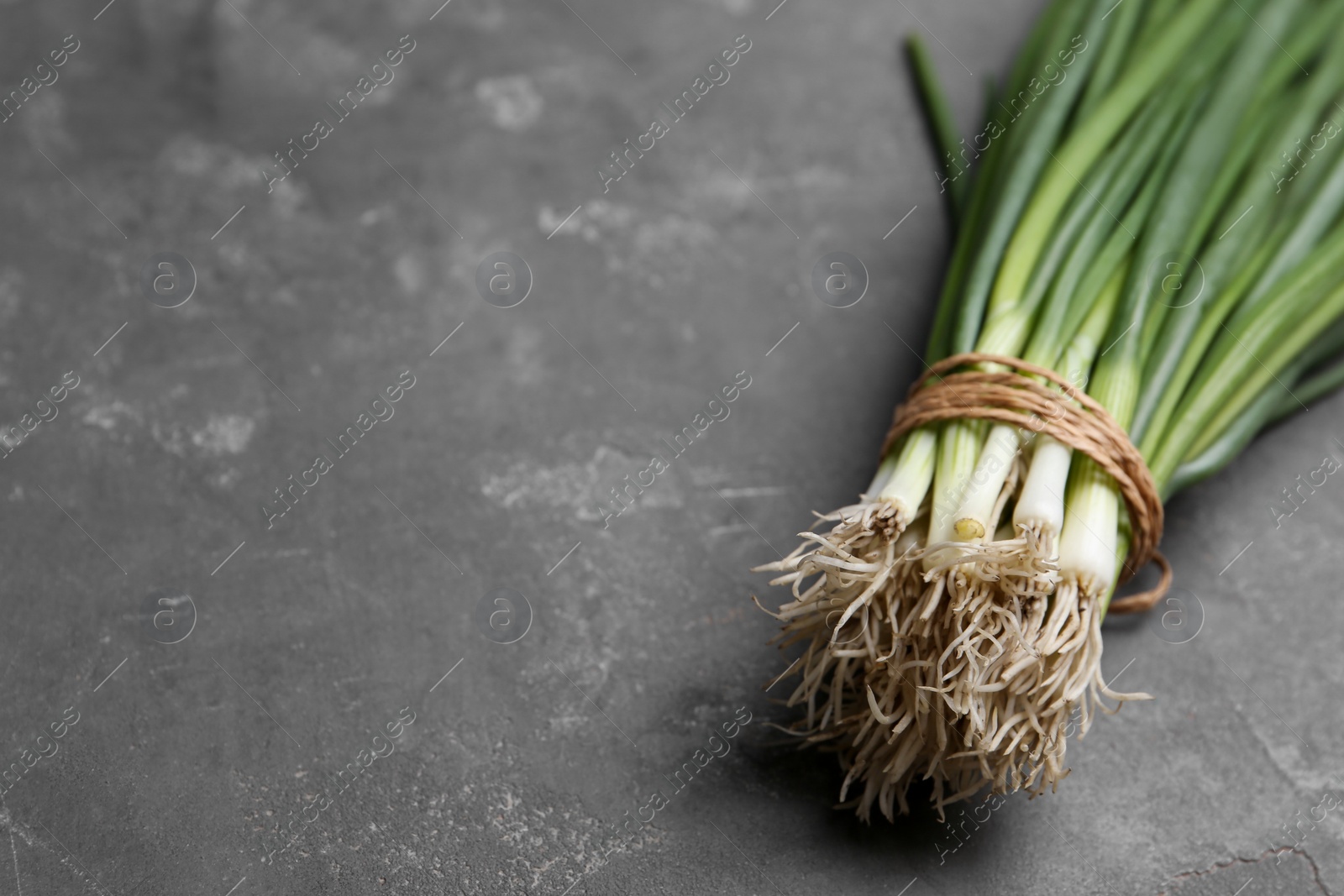 Photo of Fresh green spring onions on grey table, closeup. Space for text