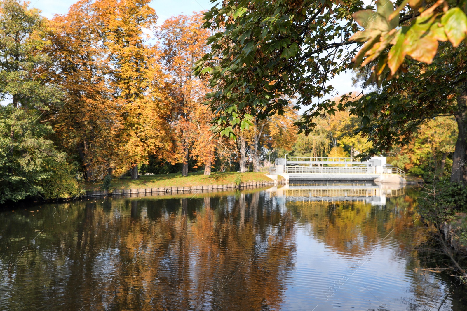 Photo of Picturesque view of river and trees in beautiful park. Autumn season