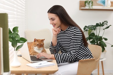 Photo of Happy woman working with laptop at home. Cute cat lying on wooden desk near owner