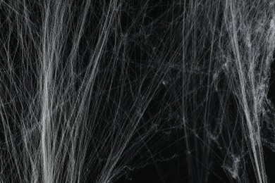 Creepy white spider web on black background