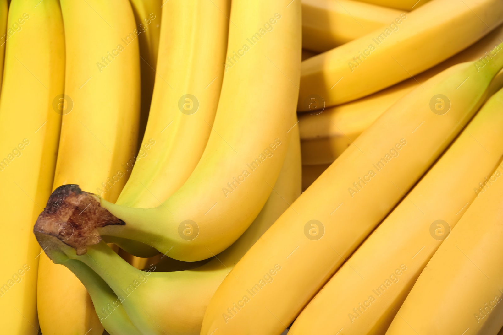 Photo of Closeup view of ripe yellow bananas as background