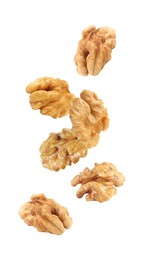 Halves of walnuts falling on white background 