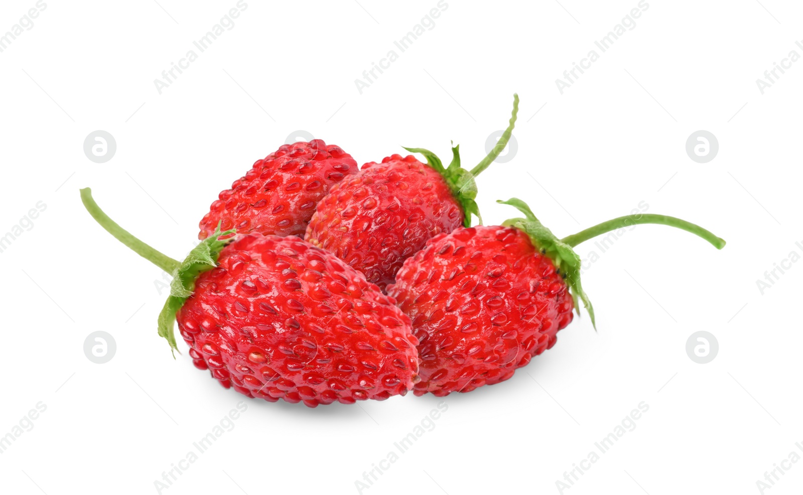 Image of Fresh ripe wild strawberries isolated on white