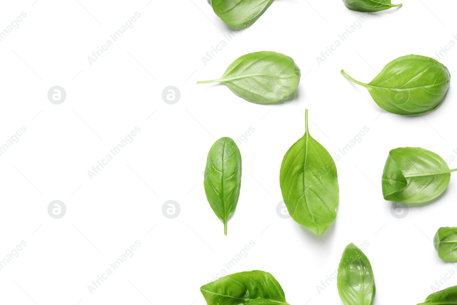 Photo of Fresh green basil leaves on white background, top view